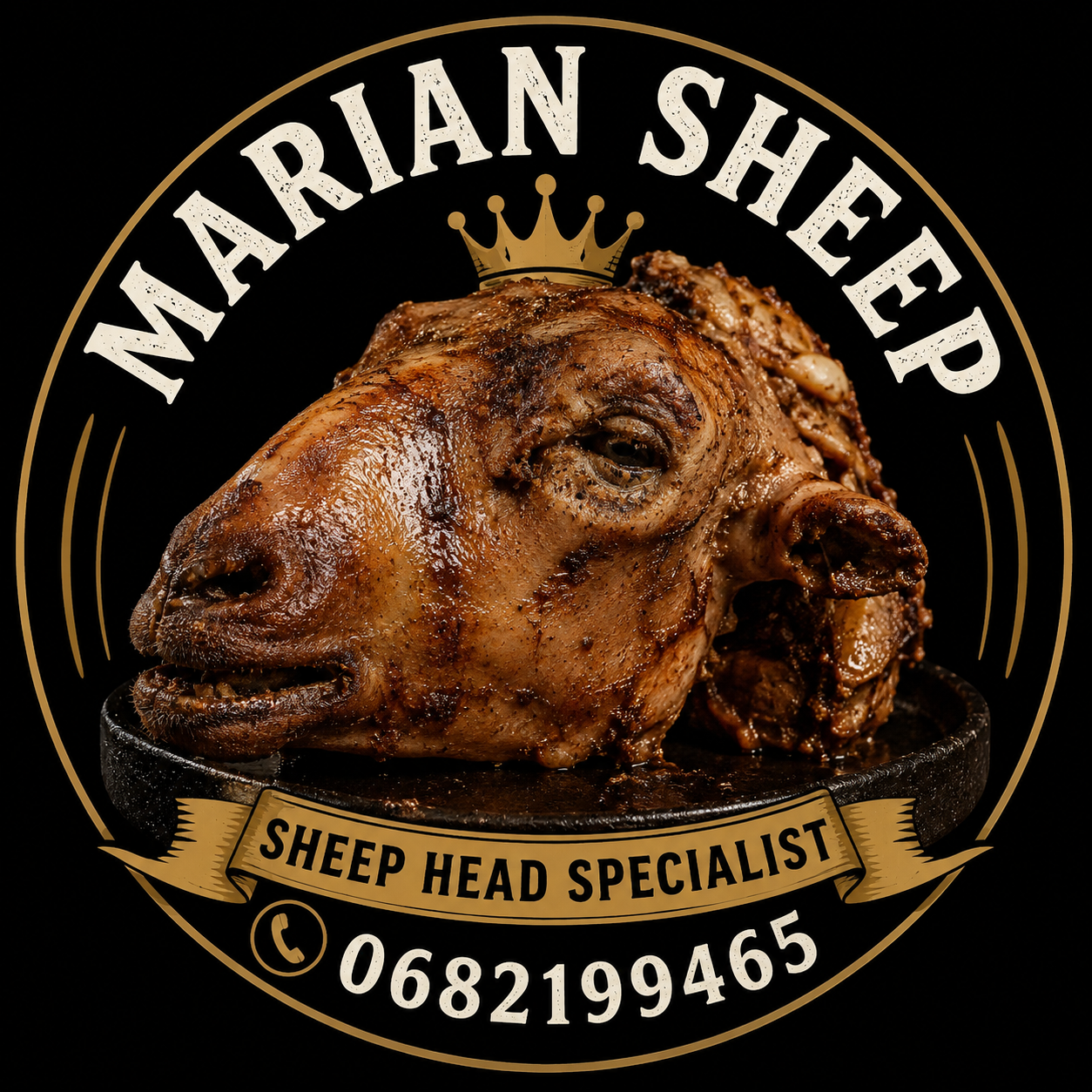 marian sheep